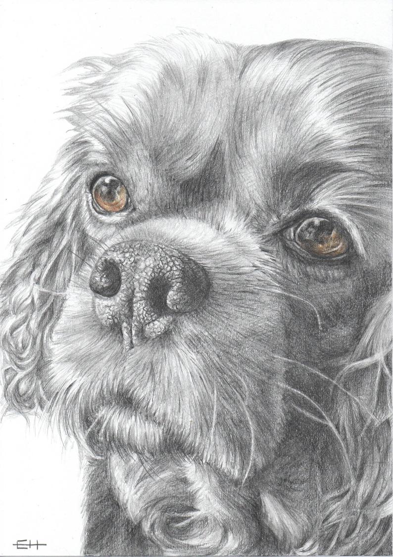 Custom dog portrait from photo